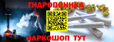 apvp Аша
