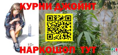 apvp Аша