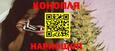 apvp Аша