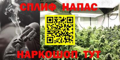apvp Аша