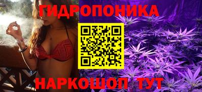 jwh Баксан