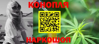 apvp Аша